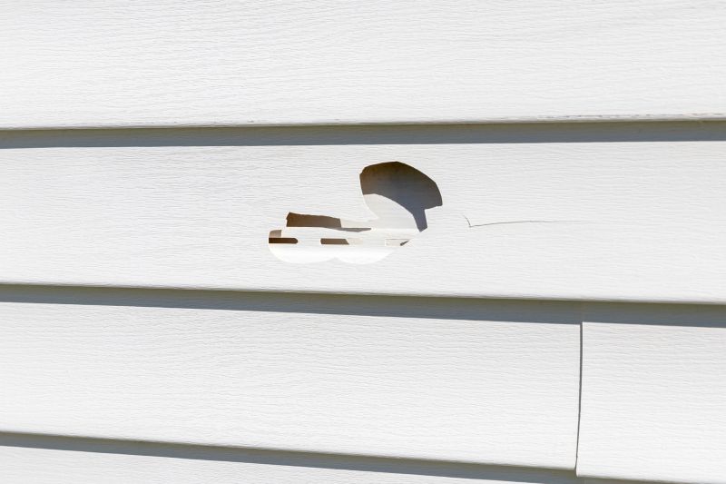 Patch Repair of Vinyl Siding